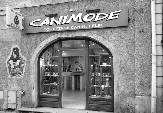 Le salon de toilettage